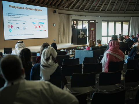 SICFAB 2026: Experts tackle seabird rescue and invasive species threats