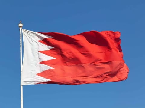 Bahrain Defence Force: 74 Iranian missiles,117 hostile drones destroyed