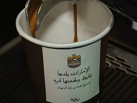 ‘Target destroyed’, ‘thick skin, bitter flesh’ echo across UAE in stickers and songs