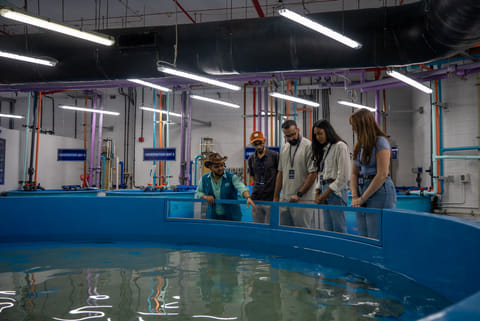 Atlantis Dubai remains committed to operating at the highest global standards
