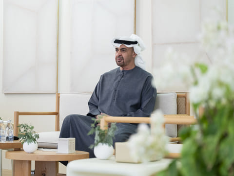 UAE President and US Senator Joni Ernst discuss regional developments