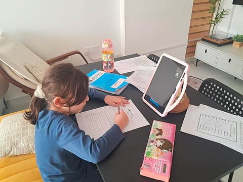 UAE sets 22 rules for remote learning covering schools, teachers, students and parents
