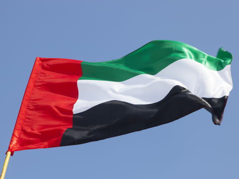 UAE says protecting Gulf waters is vital for food, water and economic security