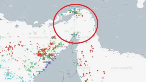 Tracking data shows ships either side of the narrow Strait of Hormuz, and near ports on the Iranian coast, but few in the strait itself - as identified by the red circle.