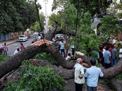 Residents watch as rescue workers clear the area of uprooted trees after strong winds and a storm in Prayagraj on May 13, 2026.