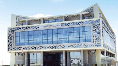Over 13 million labour transactions highlight strong business and investment activity