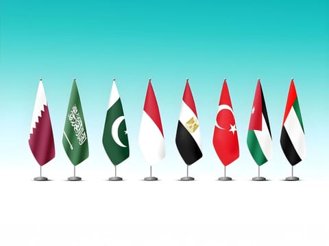 UAE, Arab foreign ministers strongly condemn Israeli minister Ben-Gvir over Gaza flotilla detainees