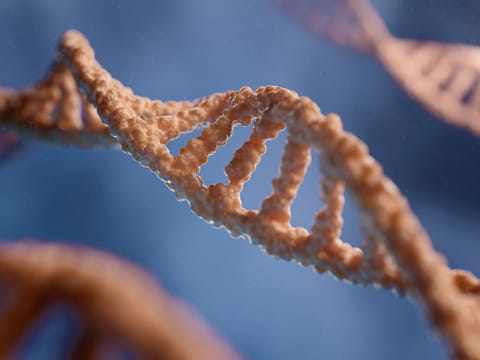 A one-time treatment that aims to make a small edit in the liver, targeting a responsible gene, has shown early promising results to lower LDL cholesterol.
