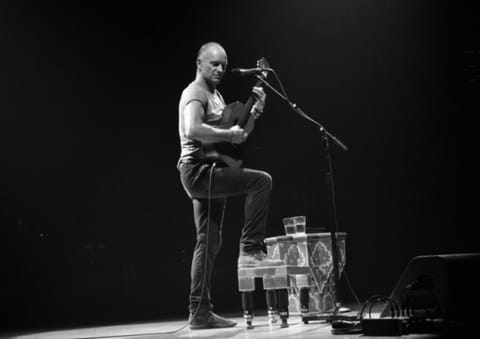 Sting goes back to bass