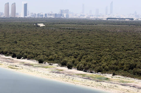 Gulf News archives