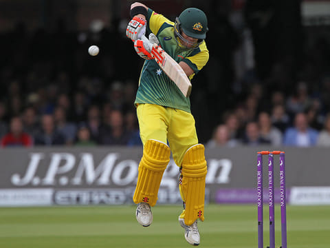 David Warner was injured in the second ODI against India