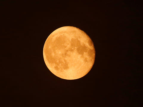 REUTERS