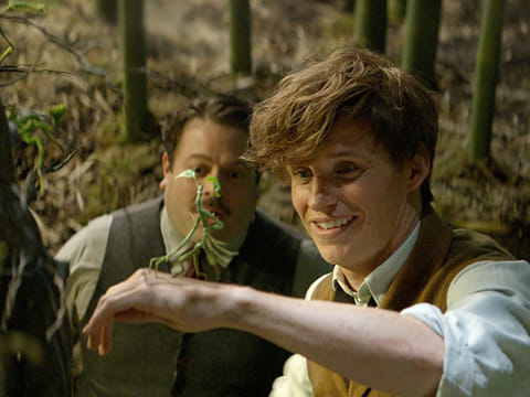 Eddie Redmayne’s wand causes havoc at customs