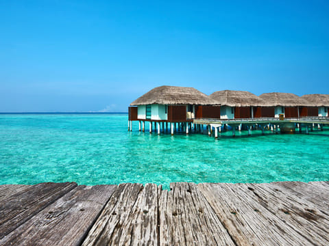 iStock