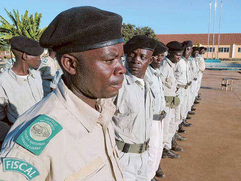 AFP