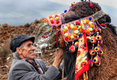 © Bülent Suberk