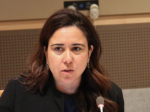Lana Nusseibeh presented a classified briefing on Houthi terrorist attacks to the UN Security Council on Friday.