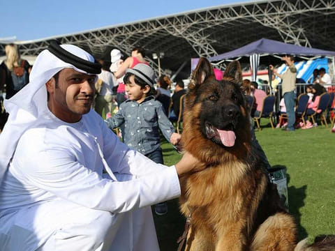 Yas Island