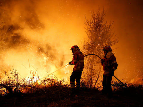 The National Emergency Office of the Chilean Ministry of the Interior and Public Security (ONEMI) reported that 3,230 hectares of land have been consumed by forest fires in the past two days in the Valparaiso region.