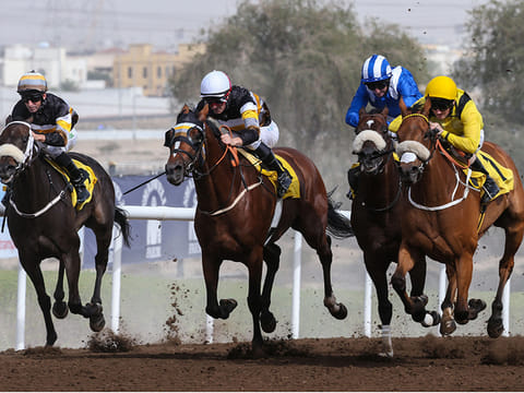 Jebel Ali racecourse (pictured), Al Ain and Sharjah will host the opening weekend races to usher in the 2020-21 UAE horseracing season.