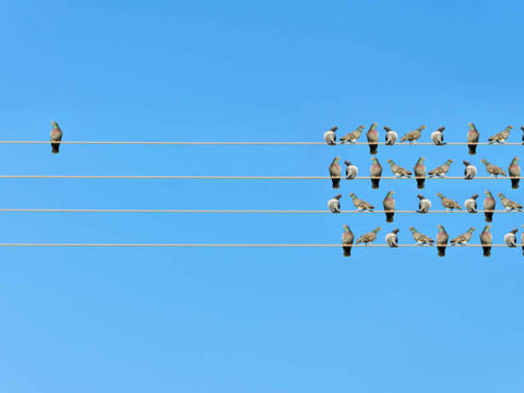 iStock