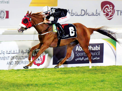 The Wathba Stallions Cup had been a signature event for the Purebred Arabian races.