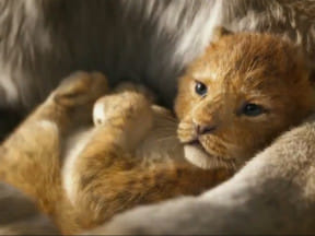 A screengrab of the teaser shows Simba, the protagonist.