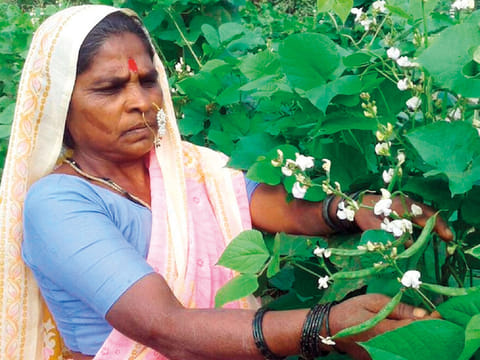 Rahibai Popere