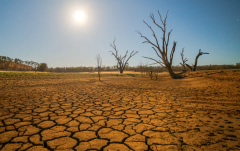 Save the environment to save Life.