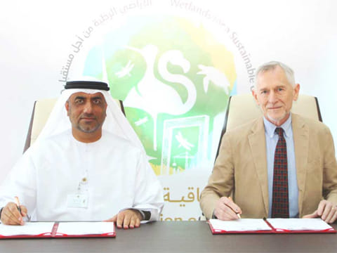 MOCCAE