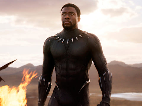 Chadwick Boseman in a scene from 'Black Panther'.