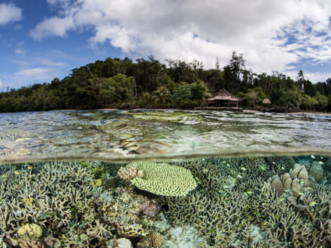 Why does biodiversity matter?