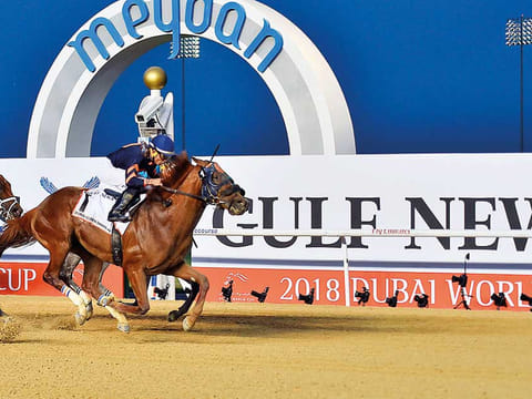 Mind Your Biscuits, ridden by Joel Rosario, triumphs in the Dubai Golden Shaheen (Group 1) at the 2018 Dubai World Cup meeting.