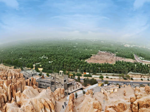 A view of Al Ahsa Oasis in eastern Saudi Arabia.