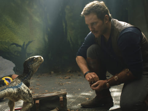 Chris Pratt in "Jurassic World: Fallen Kingdom."