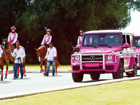With its commitment to an all-important health mission, Pink Caravan has turned into a huge volunteer campaign resonating around the country