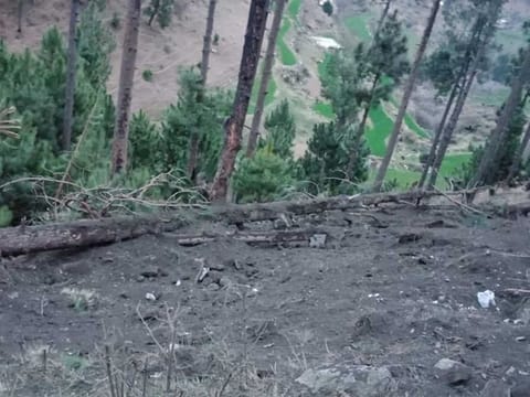 General view of a site after the Indian military aircraft released payload in Balakot, Pakistan, February 26, 2019. This is a Inter Service Public Relation (ISPR) handout picture via REUTERS.