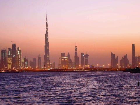 UAE's 'gold card' to boost investments