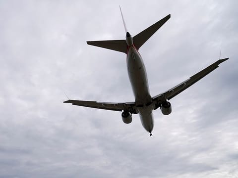 An American Airlines Boeing 737 Max 8 flight from Los Angeles lands at Reagan National Airport.
