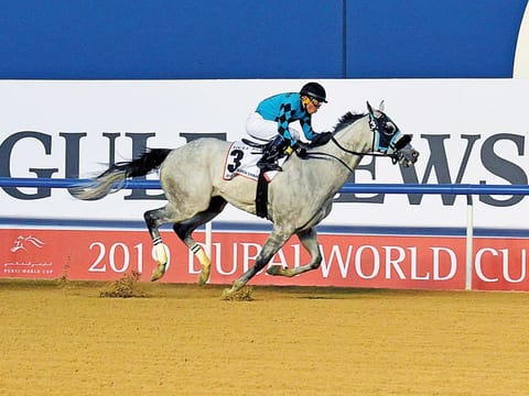 XY Jet cruises to a big victory in the Dubai Golden Shaheen in the 2019 edition of Dubai World Cup.