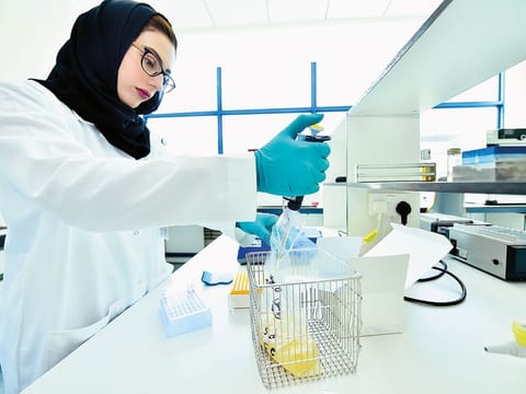A technician works at the Food and Environment Laboratories section of the Dubai Central Laboratory.