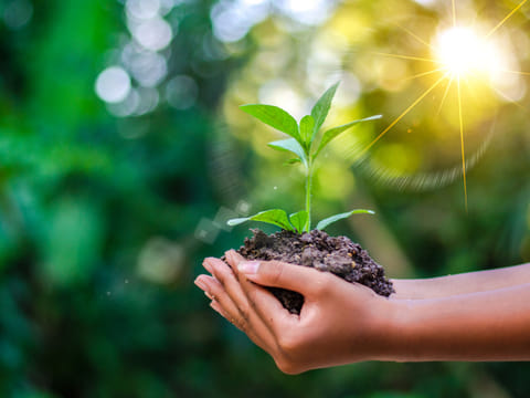 The Earth’s climate is witnessing a positive change