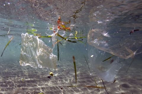 This illustration picture taken on May 30, 2019 shows plastic waste floating in the sea in Marseille.