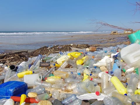 Garbages, plastic, and wastes on the beach after winter storms.