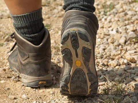 Among adults, 23.2 per cent of men meet physical activity guidelines, compared to just 14 per cent of women.