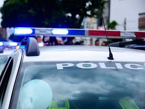 The dog -- a year-old pit bull named Oreo -- "got his paw stuck in the trigger guard and ended up hitting the trigger," a police incident report said.