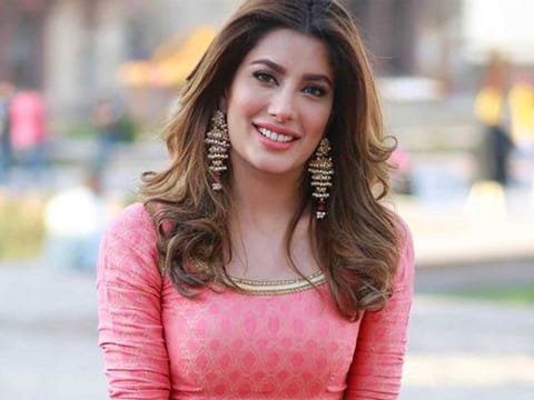 Mehwish Hayat stirs controversy with anti-Bollywood comment.