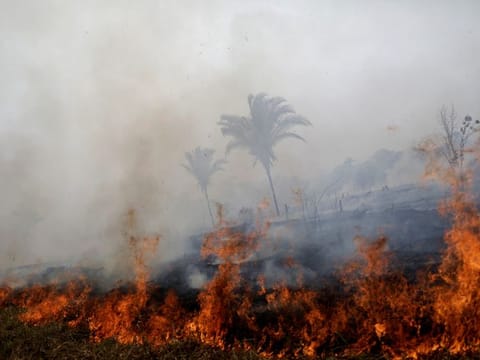 A tract of the Amazon jungle burns as it is cleared by loggers and farmers in Porto Velho, Brazil on August 24, 2019.