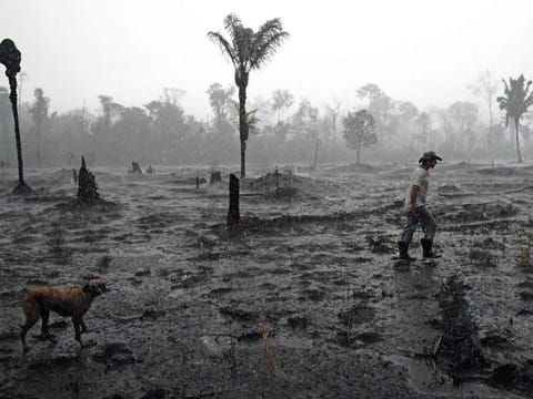 Brazilian farmer Helio Lombardo Do Santos and a dog walk through a burnt area of the Amazon rainforest, near Porto Velho, Rondonia state, Brazil, on August 26, 2019