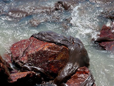 Brazil's President Jair Bolsonaro said on October 7 that the mysterious oil stains that appeared on 132 beaches in northeastern Brazil haver their origin in another country, wihtout mention which one.